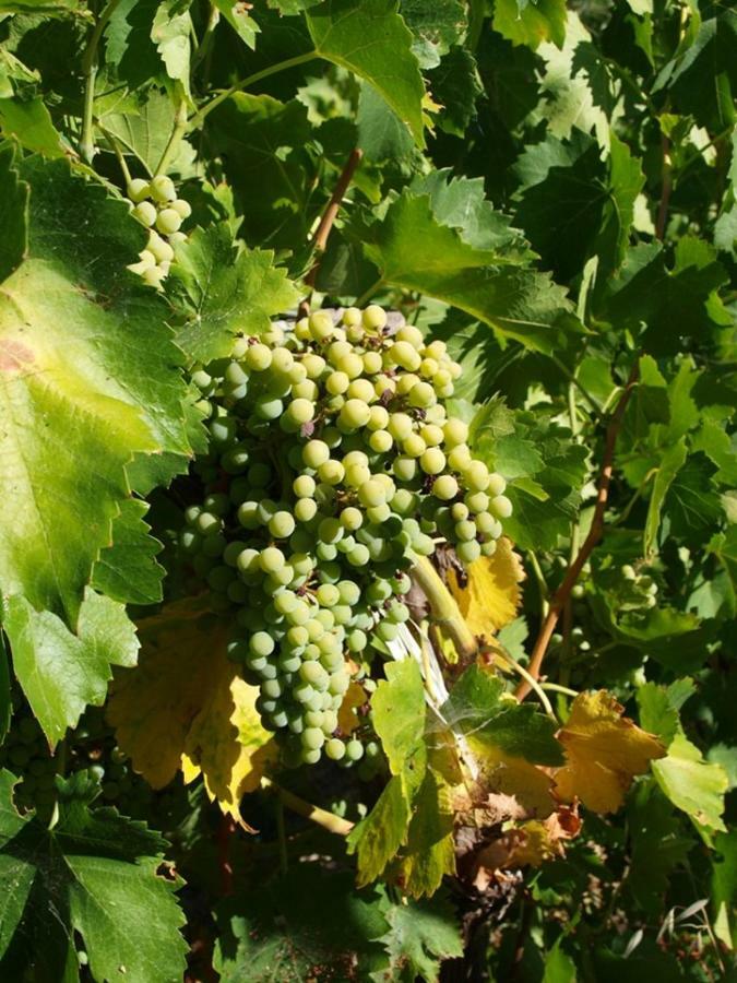 Agriturismo Gelso Castellana Sicula Luaran gambar
